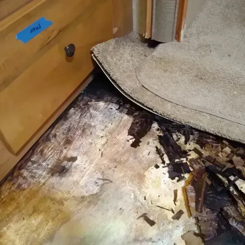 Best Wood Floor Water Damage Service in Lake County, CA